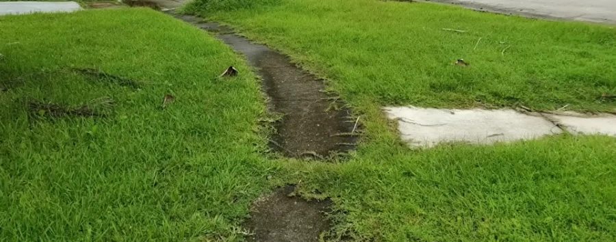 Freshly cut sod edge along a driveway in Jacksonville, FL