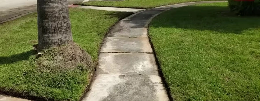 Lawn edging around a palm tree and walkway in a Jacksonville, FL yard